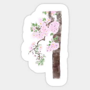 pink cherry blossom pink sakura watercolor painting Sticker